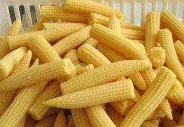 Мини-кукуруза - рецепты приготовления и секреты выращивания