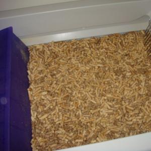 How to make your own cat house, food and litter What types of cat litter are there?