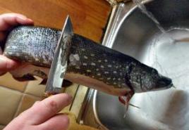 How to clean pike for cutlets How to fillet pike