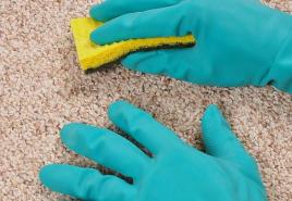 How to get rid of the smell of cat urine - on the carpet, shoes, sofa